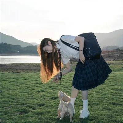 波哥大